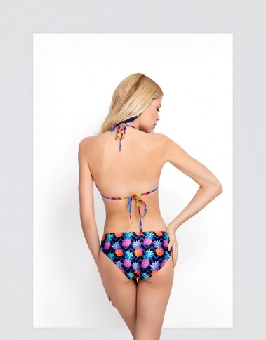 2000P13-ananas-back