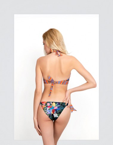 2000P46-rose-back