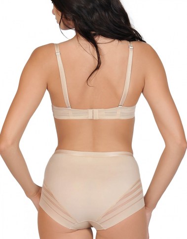 alegra-20152-biegeback