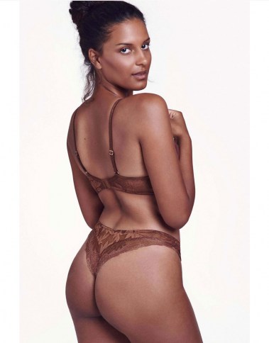 harvest-20278-brown-back