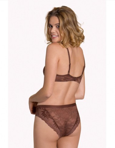 harvest-22249-brown-back