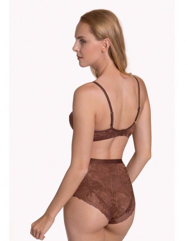 harvest-22251-brown-back