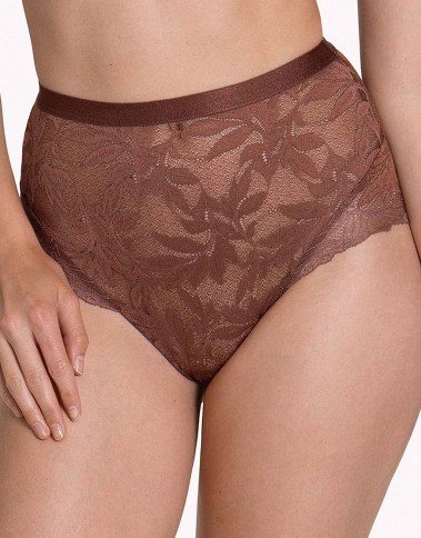 harvest-22251-brown1