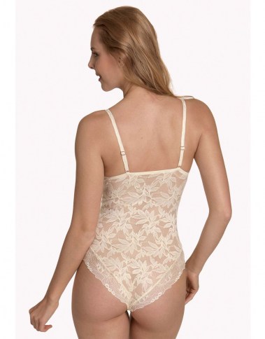 harvest-23303-vanilla-back